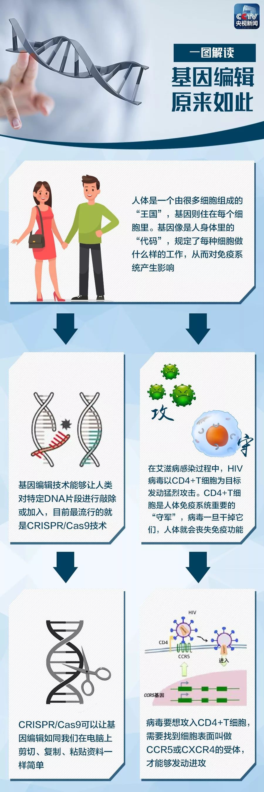 基因编辑原来是这么回事，一张图看懂了 